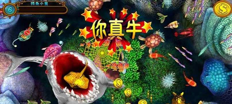 通比斗牛牛牛玩法全面指南