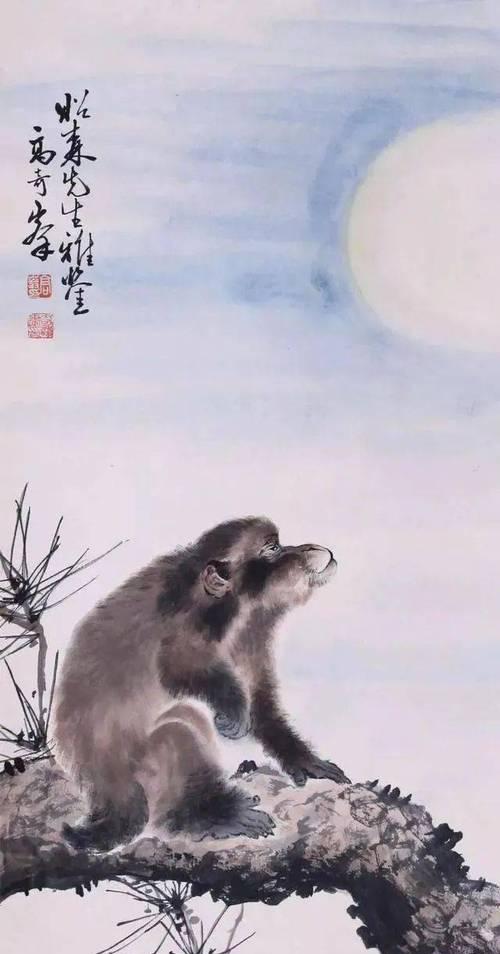 南方飞禽走兽图片大全——探索自然之美