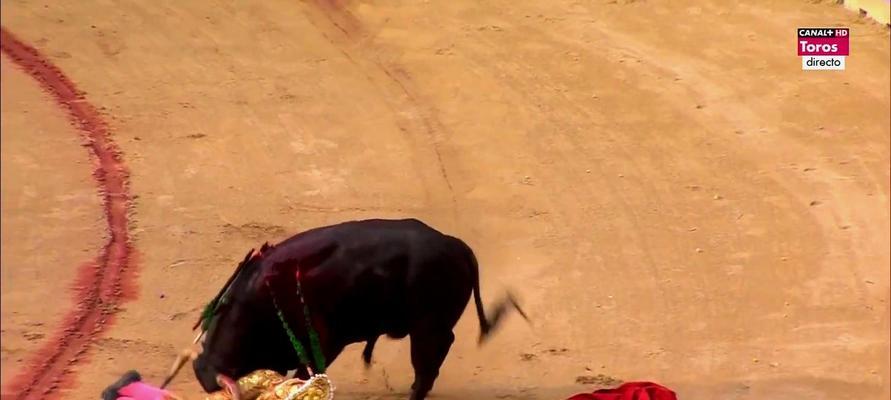 二人组斗牛视频全集：开启视觉盛宴的旅程