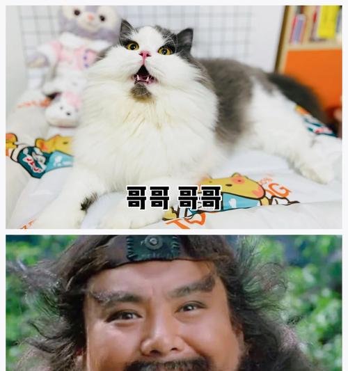 李逵劈鱼手机版技巧指南