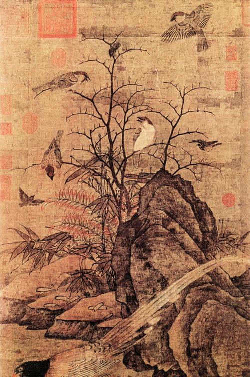 飞禽走兽图片全景怎么找？哪里有高清全景图下载？