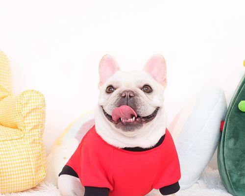 斗牛犬头像动漫闺蜜二人怎么设计？设计时需要注意哪些问题？