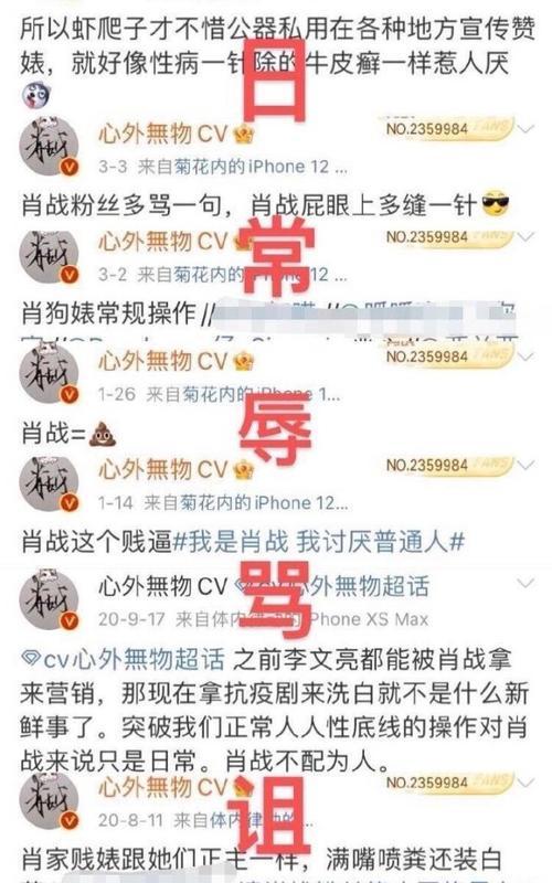 九天狐亲兄弟打游戏：探寻顶尖游戏直播背后的秘密