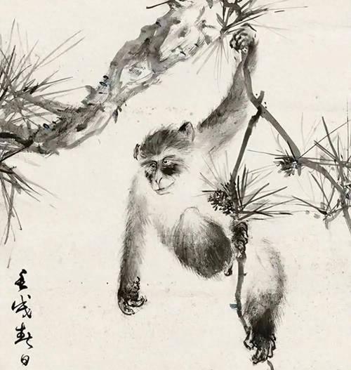 飞禽走兽：自然界的多样之美