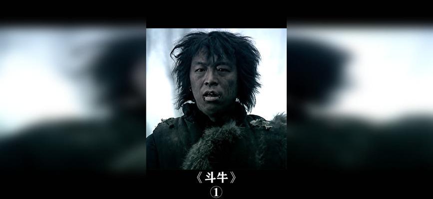 二人组斗牛视频下载安装教程