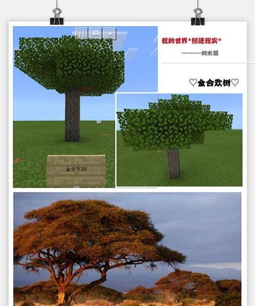 我的世界中植物如何自动生长？需要哪些条件？