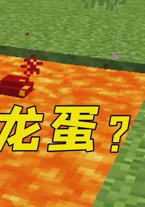 我的世界中鬼龙孵化的步骤是什么？