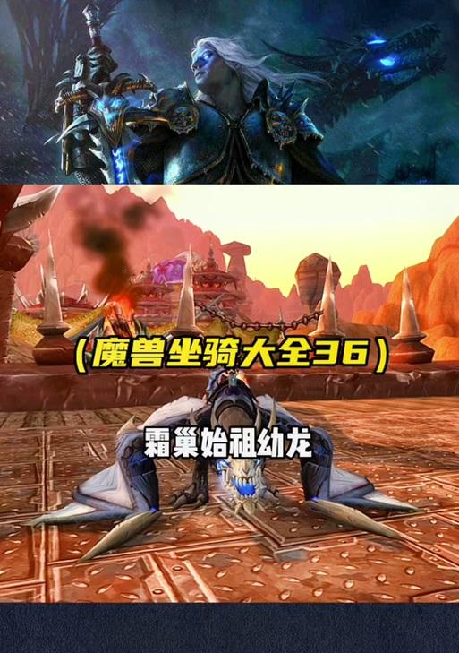 在魔兽世界中召唤龙的方法是什么？召唤龙需要满足哪些条件？
