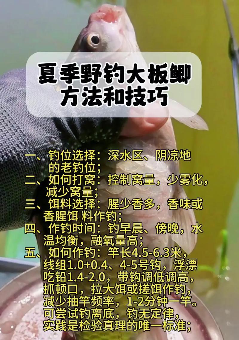 地下城钓鱼技巧是什么？如何钓到更大的鱼？