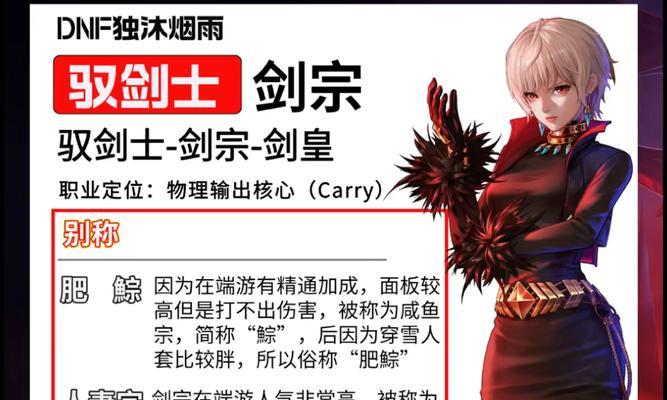 dnf剑宗应选择哪种属性？属性选择对输出有何影响？