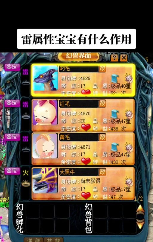 魔域猫的外观特征和功能介绍是什么？