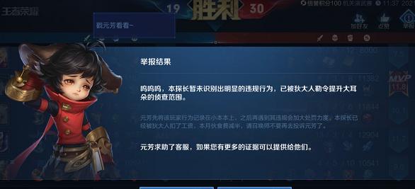 王者荣耀举报违规玩家的正确步骤是什么？举报后多久会有反馈？