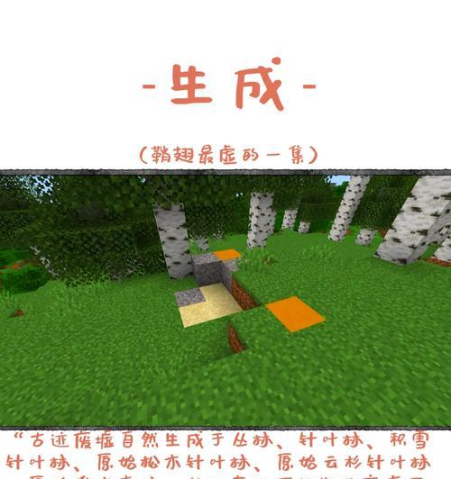 在《我的世界》中如何有效开拓土地？有哪些技巧可以提高效率？