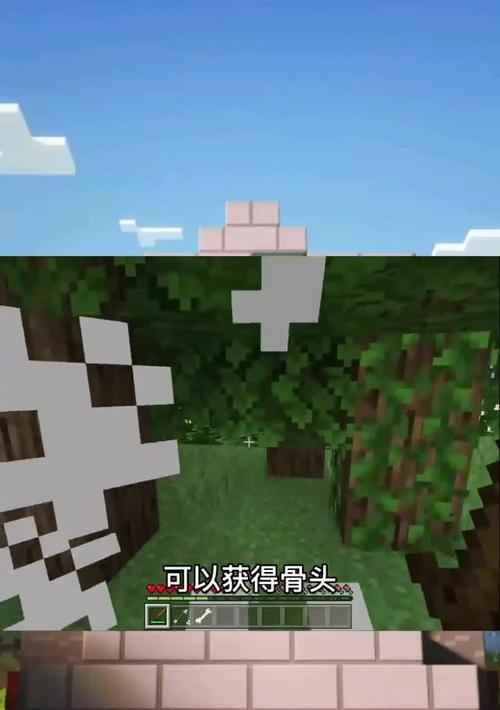 《我的世界》简易建筑打骷髅攻略（用简单的建筑方式轻松应对骷髅的挑战）