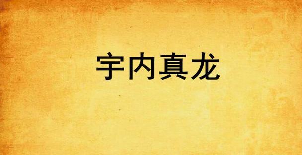 寻仙熊猫老二真龙战斗策略是什么？如何有效击败真龙？