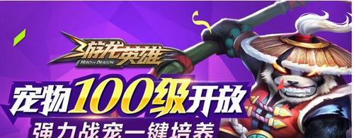 游龙英雄（掌握关键技巧）